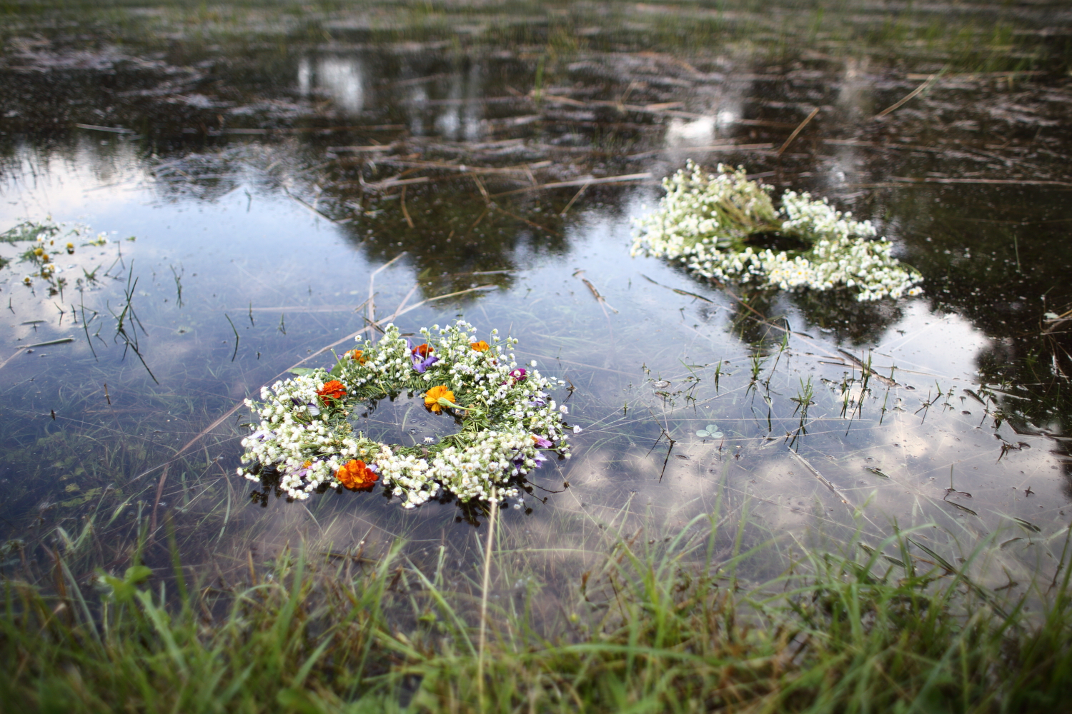 Можно купаться на троицу в водоеме. Венки в реке. Венки на воде. Цветы плывут по реке. Венки плывут по реке.